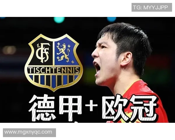 足球明星社交媒体发文引发热议球迷意见两极分化